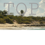 .TOP.