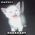 ୨୧ eavx11 ୨୧