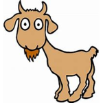 Goats that eat sand