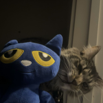 love from afar