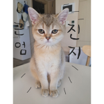 거리의 독사와 지도
