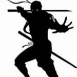 Ninjaboy's Team