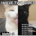 wi4