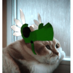 Green Gaηg