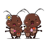 My Lovely Roach Family