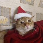 hej alle sammen :)