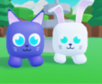 Pet gamers!