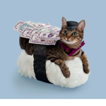 fun life for sushi cats