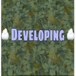 Aiden The Developer