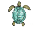 Turtle's era