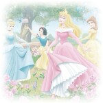 𐔌 ° ˖  prncess  playtnt