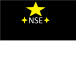 NSE - Nit`s Space Exploration