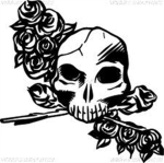 Killerrock33 Fan Club