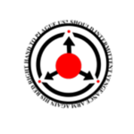 The Chaos insurgency Organization