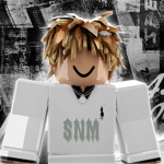 84 snm gz