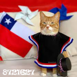 todos amigos y primos
