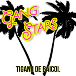GangStars Tiganii de baicoi