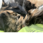 Chloe<3.