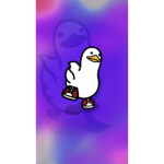 Soolking