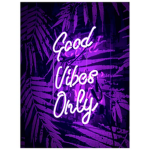 V i b e s +