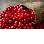 THE CRANBERRY SQUAD :D