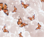 • aesthetically butterfliess •