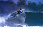Surfers Group!!