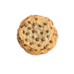 obby beta group