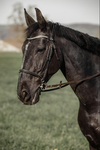 Whispering Waters Equestrian Centre