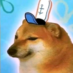sponge doge