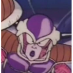 The Freeza Force (FF)