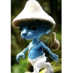 yeehaw gnome gang