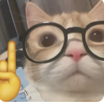 Team toast!!! :D
