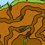 Ant Council