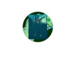 My Friends from old accounts