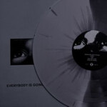 *:･ﾟ✧*:･ﾟ✧ 