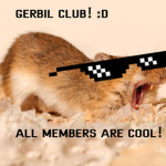 Gerbil Club