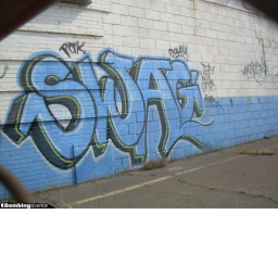 Swag training