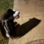 ʚꨄɞ