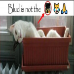 deathconsciousness obby