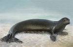 seal place