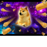 Teh Clan Of Doges