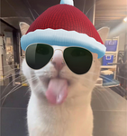 Hambone is so cool