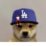 Da dogy