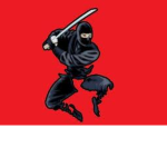 Neo Ninjas