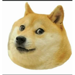 멍뭉이 부대