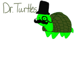 team turtle nerds