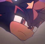 •Shadow the hedgehog•