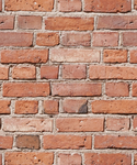 Bricks of life
