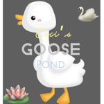 Ceci’s goose pond:D